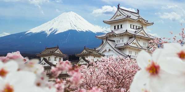 Best Places To See Cherry Blossoms In Japan